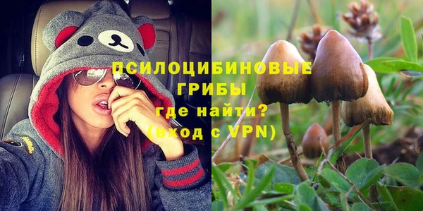 ГАЛЛЮЦИНОГЕННЫЕ ГРИБЫ Белоозёрский