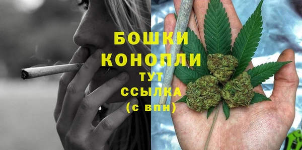 ГАЛЛЮЦИНОГЕННЫЕ ГРИБЫ Белоозёрский