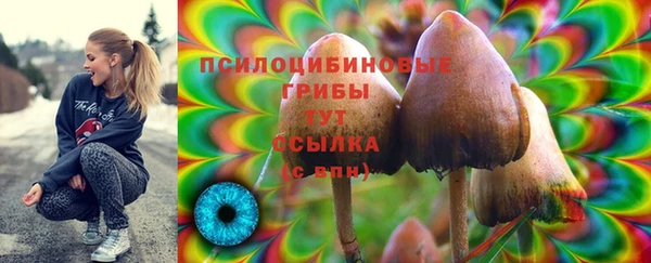 герыч Беломорск