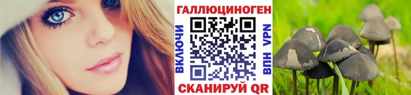 Псилоцибиновые грибы мухоморы  где купить   Высоковск 